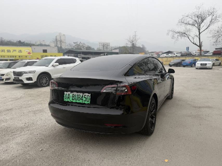 Tesla Model 3 2021 car image #12