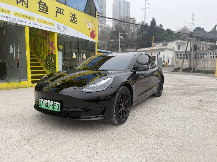 Tesla Model 3 2021 car image #2