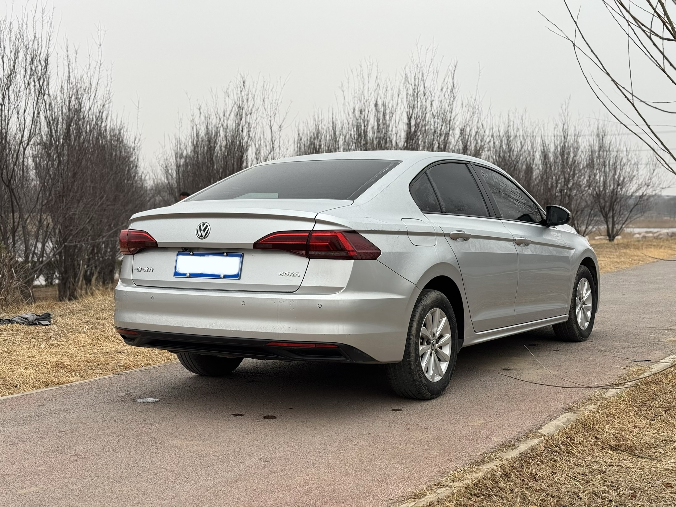 Volkswagen Bora 2019 car image #10