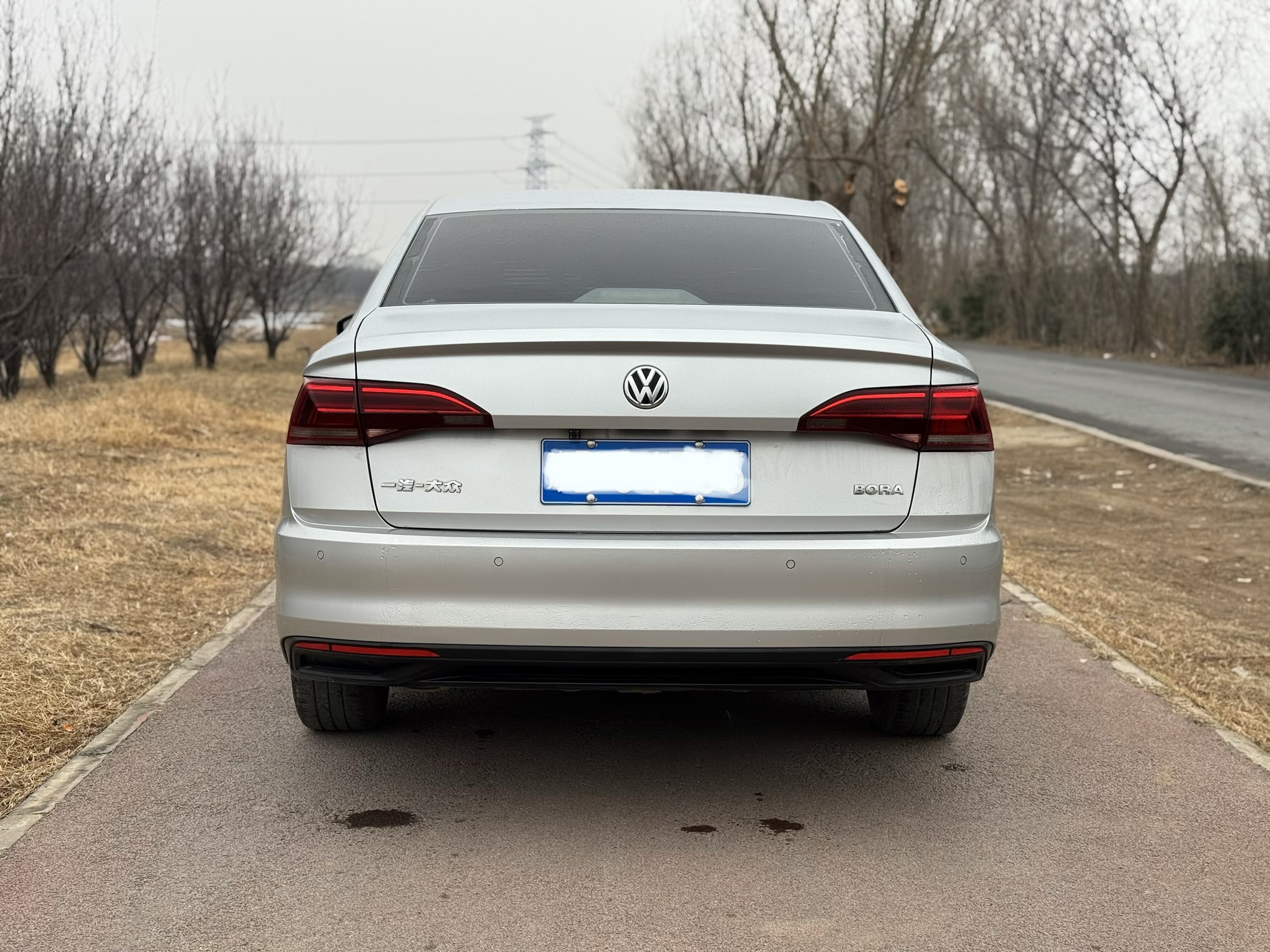 Volkswagen Bora 2019 car image #11