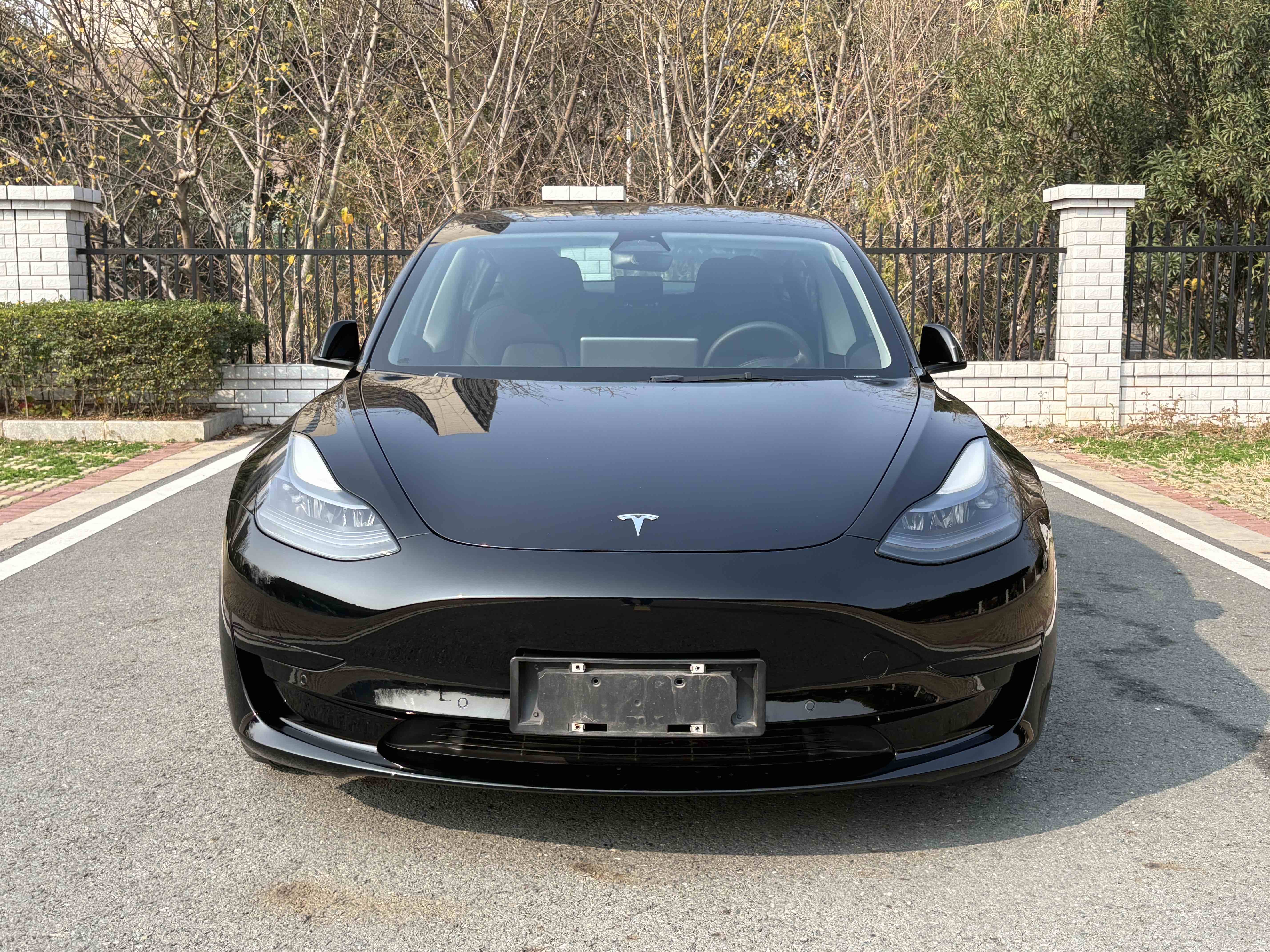 Tesla Model 3 2021 car image #4