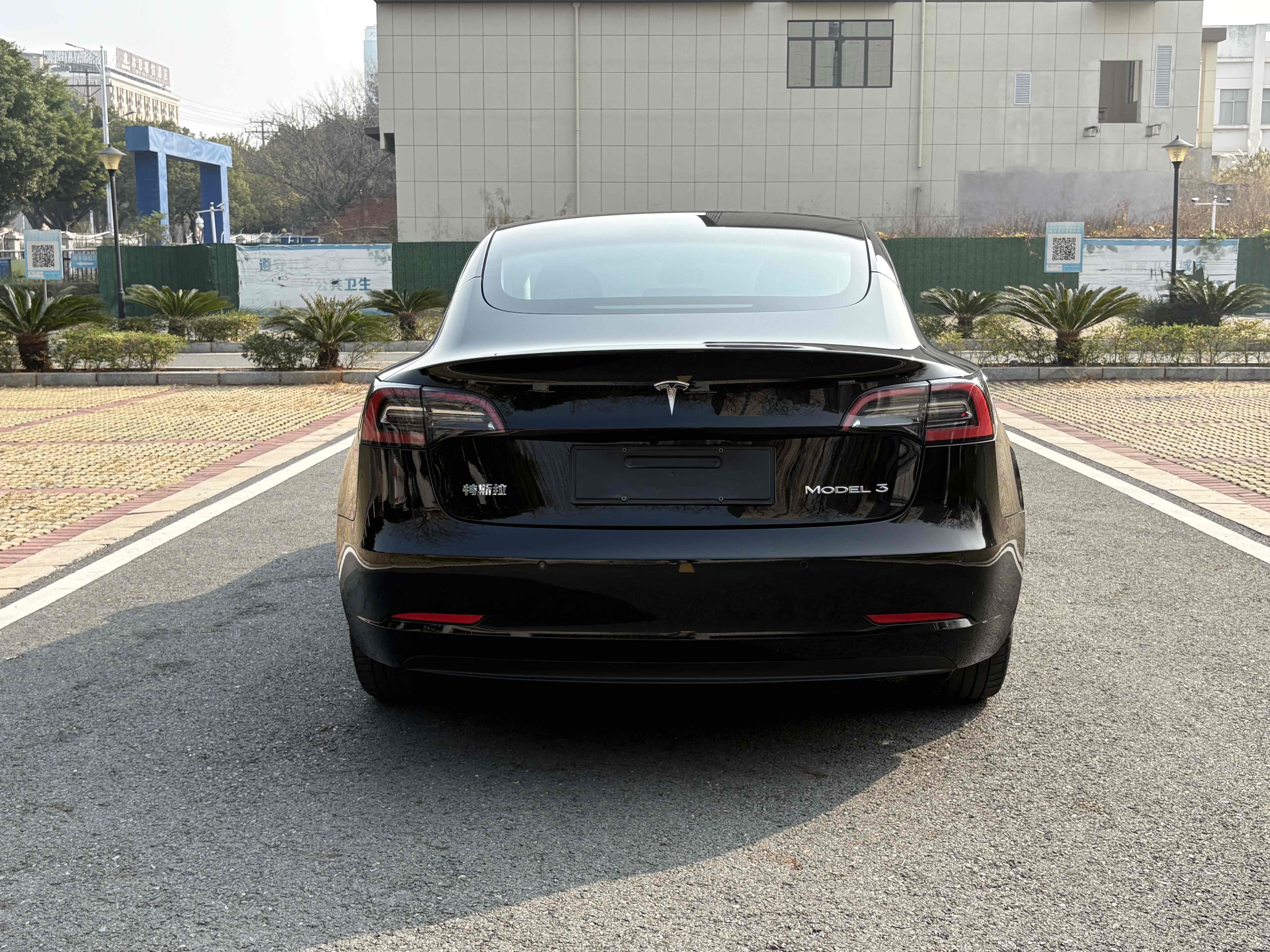 Tesla Model 3 2021 car image #10