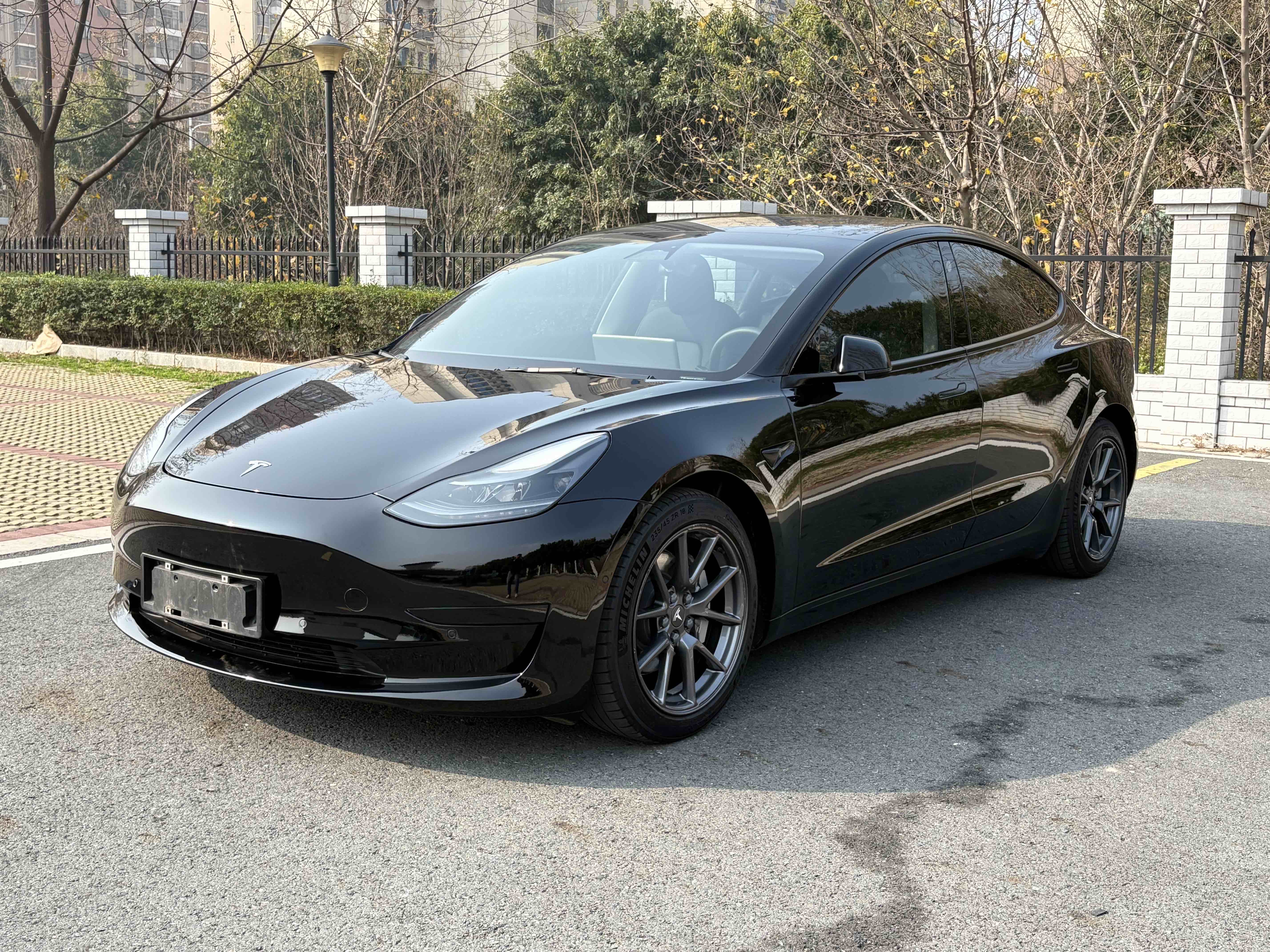 Tesla Model 3 2021 car image #2