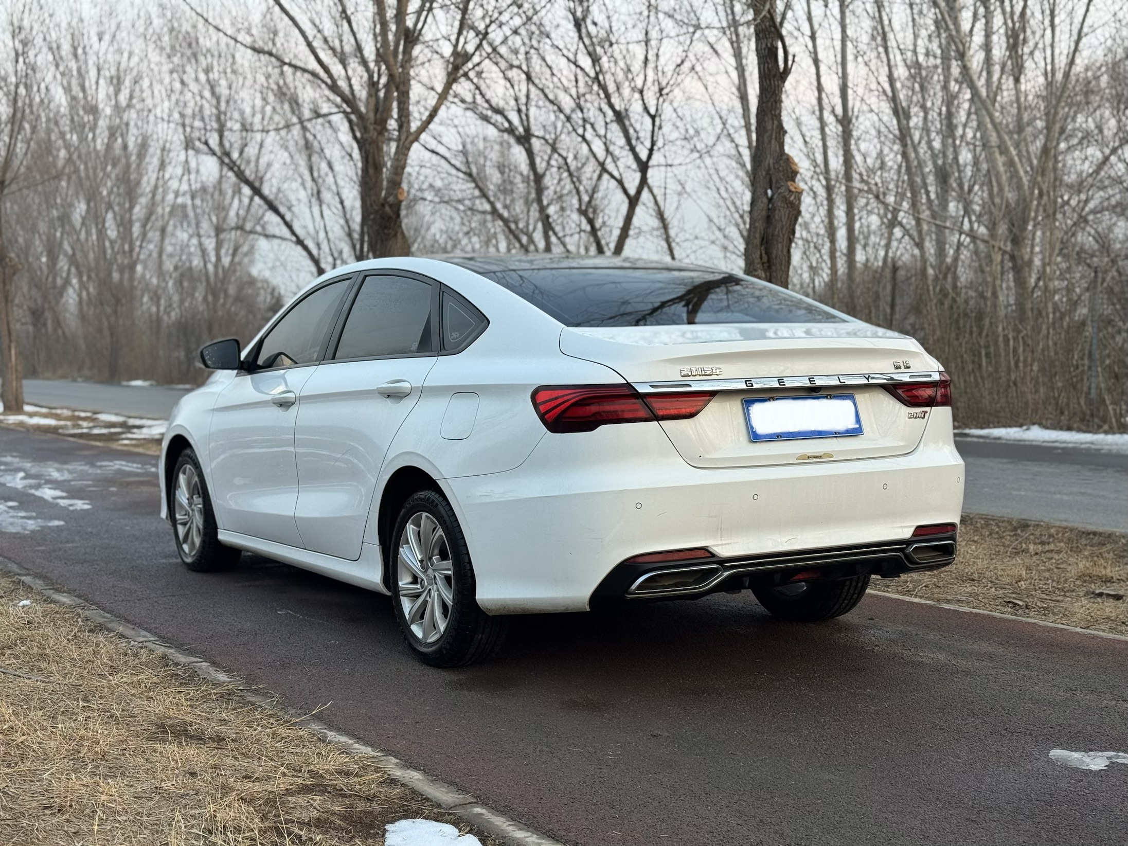 2020 #8 2020 car image #8