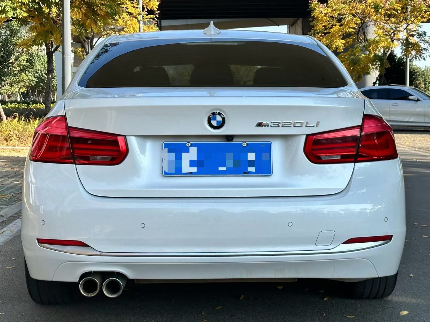 BMW 3 Series 2018 car image #10