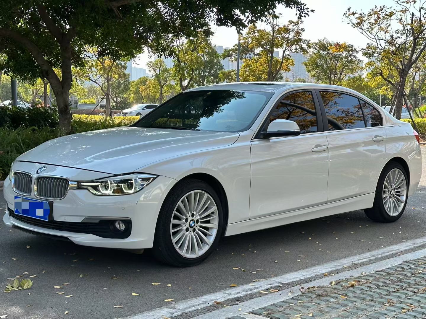 BMW 3 Series 2018 car image #2