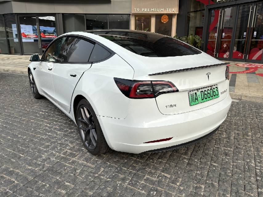 Tesla Model 3 2022 car image #8