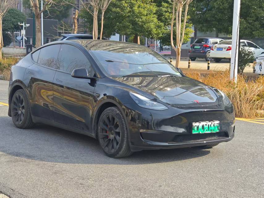Tesla Model Y 2023 car image #5