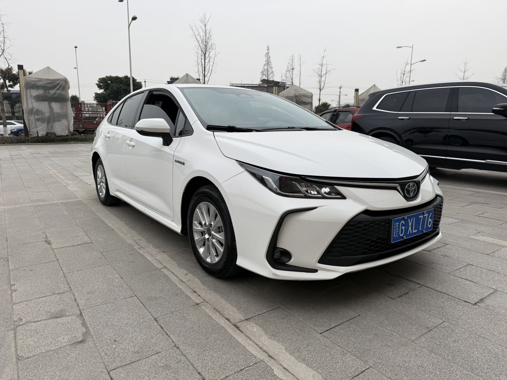 Toyota Corolla 2023 #3 Toyota Corolla 2023 car image #3