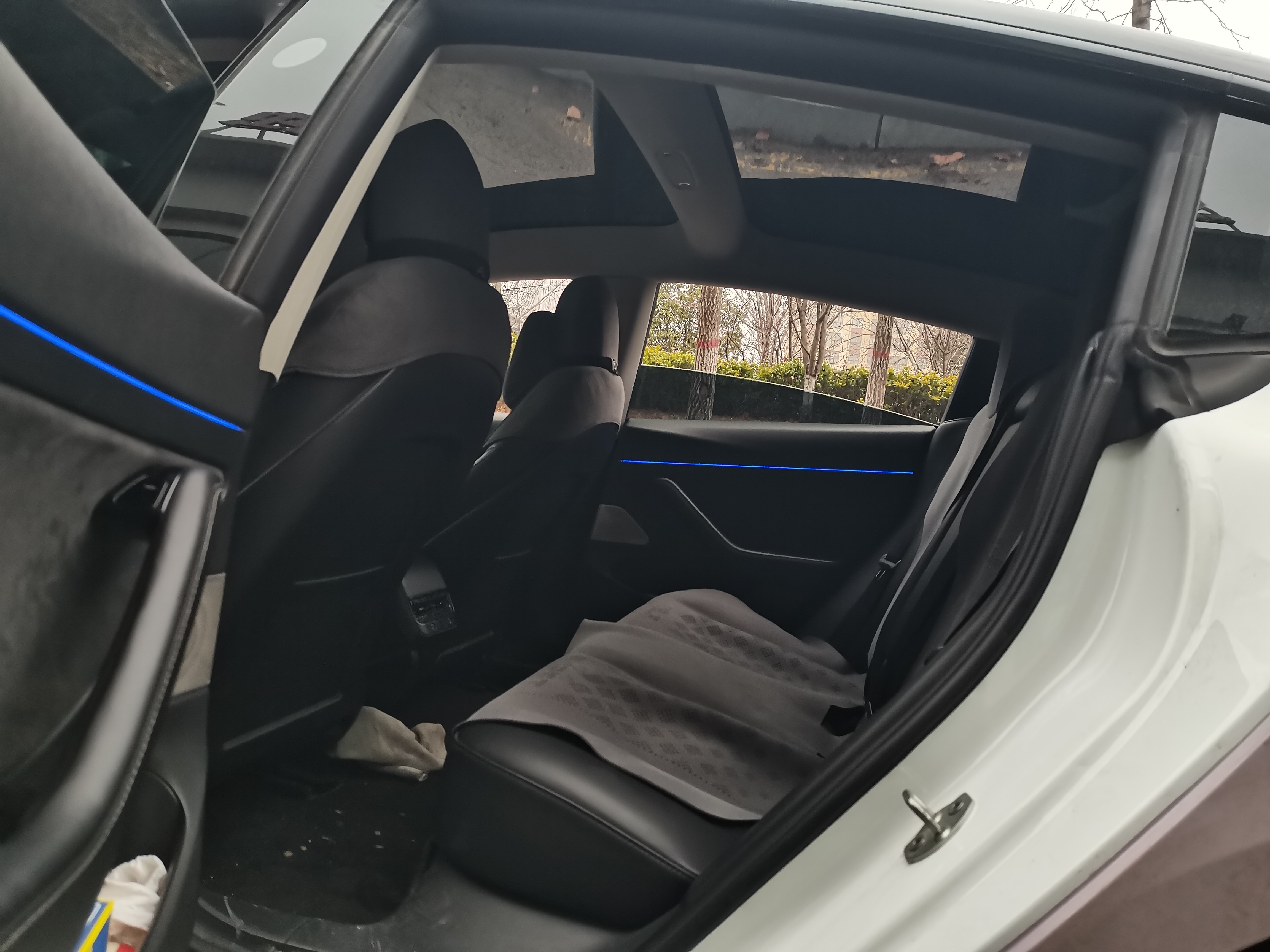 Tesla Model 3 2020 #5 Tesla Model 3 2020 car image #5