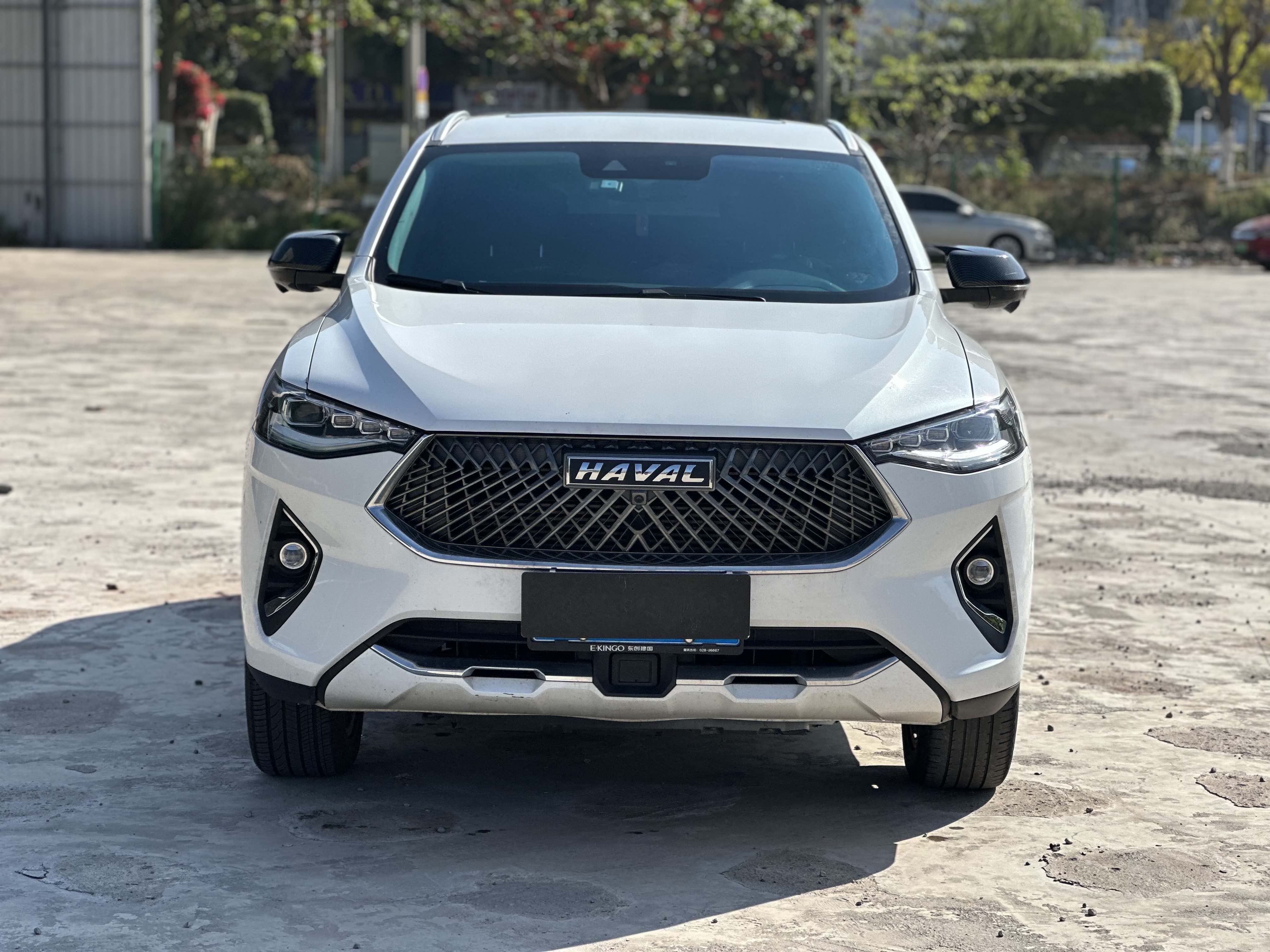 Haval F7x 2021 car image #4