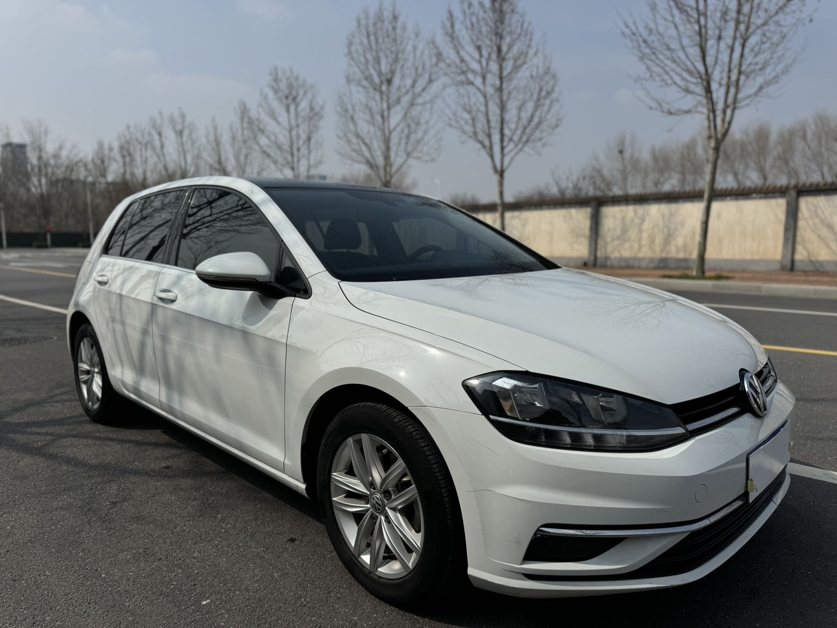 Volkswagen Golf 2019 #7 Volkswagen Golf 2019 car image #7