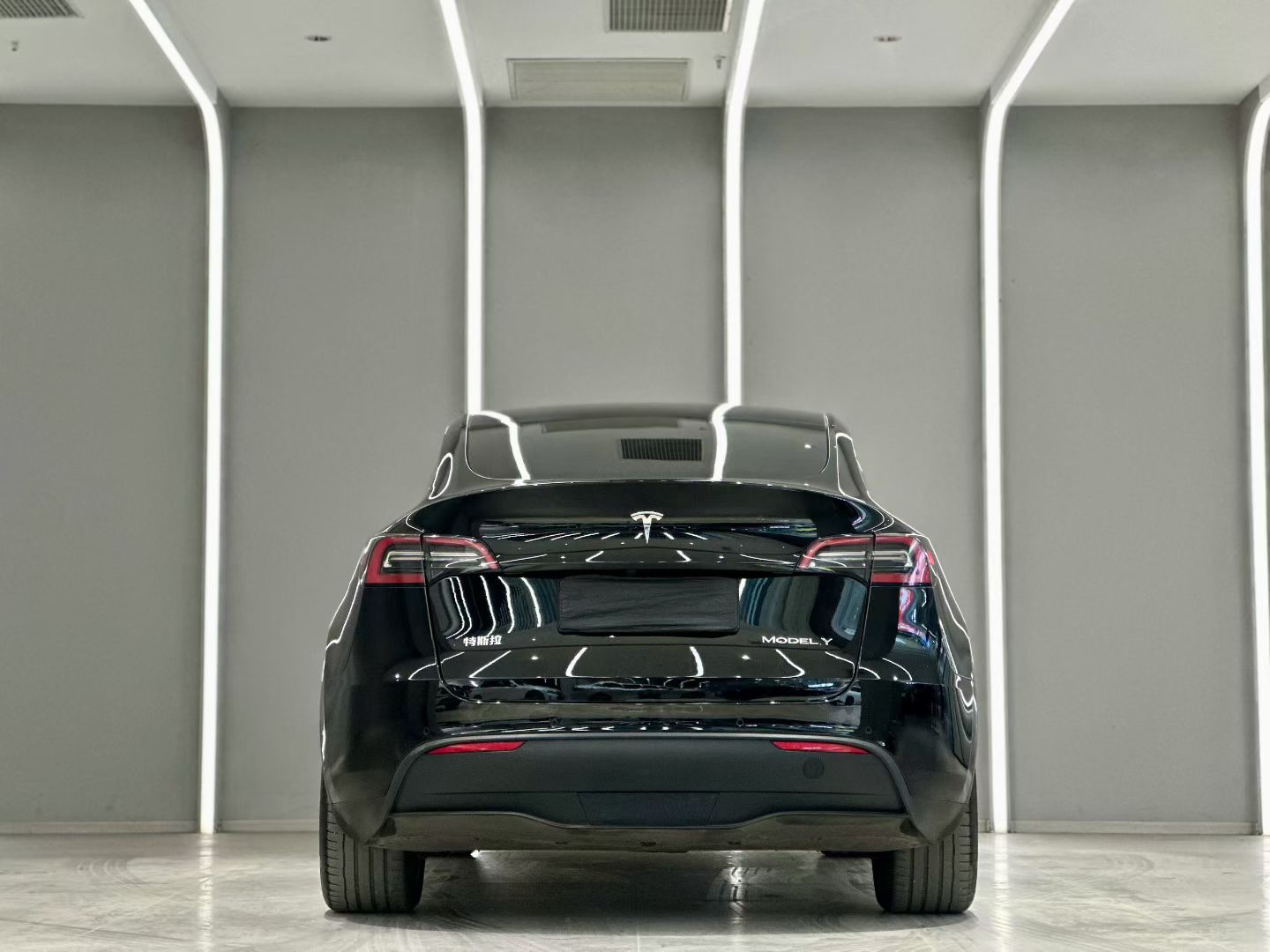 Tesla Model Y 2021 car image #10