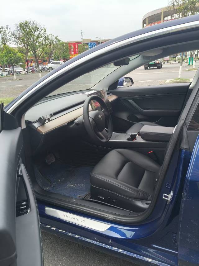Tesla Model 3 2020 car image #6