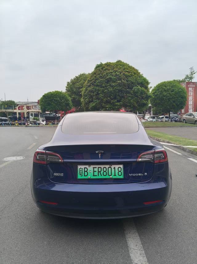 Tesla Model 3 2020 car image #10