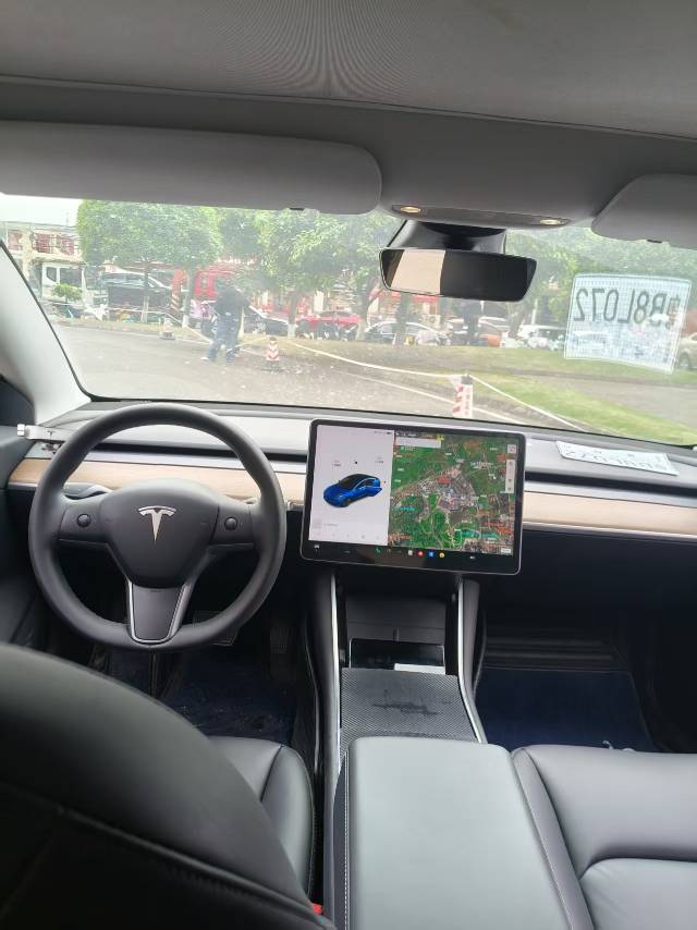 Tesla Model 3 2020 car image #8