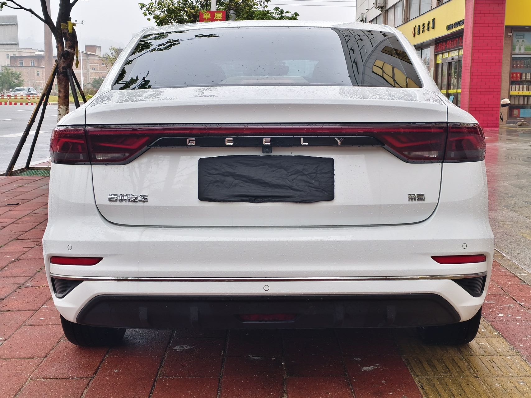 GEELY Emgrand 2023 car image #10