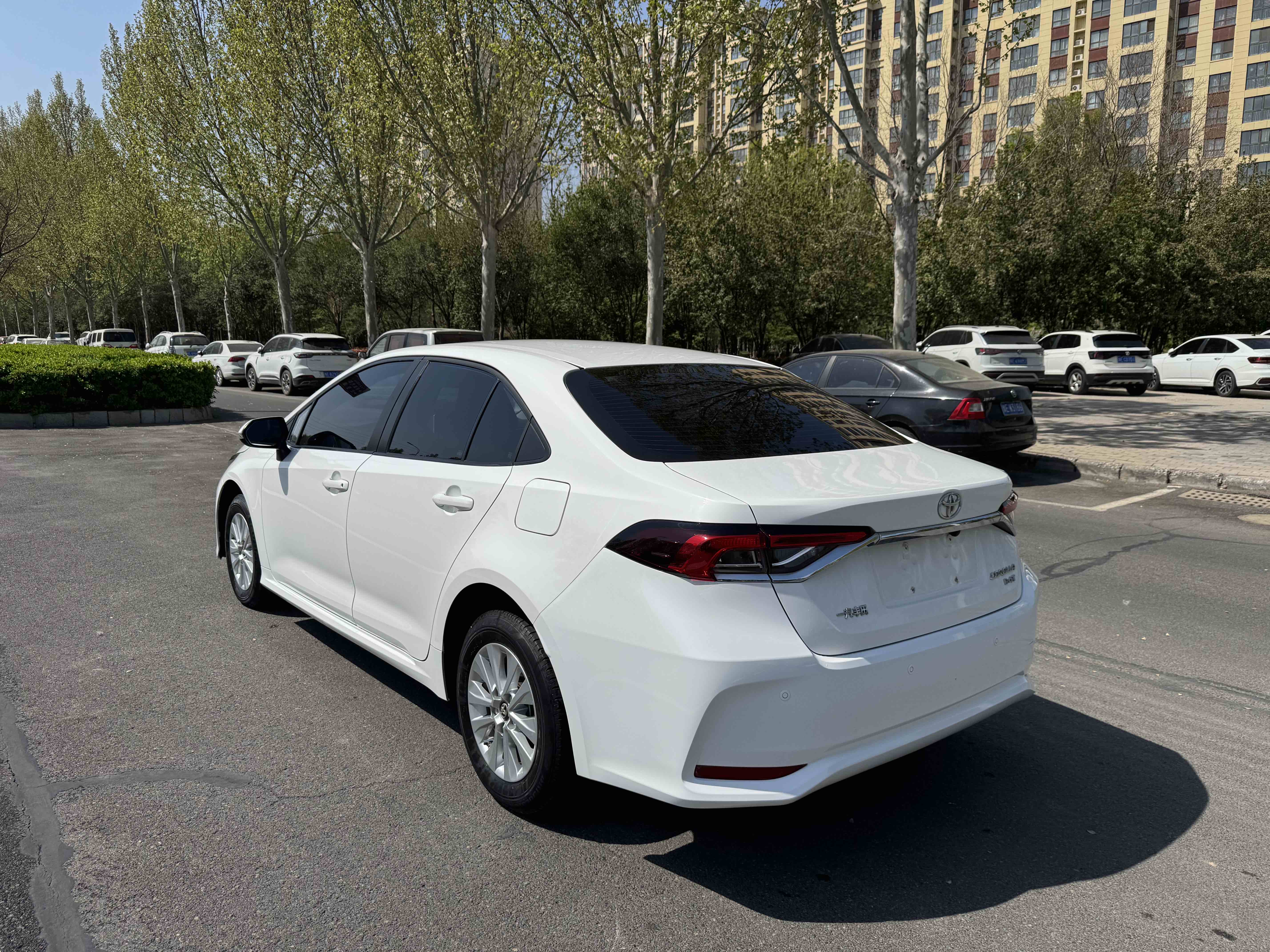 Toyota Corolla 2020 #10 Toyota Corolla 2020 car image #10