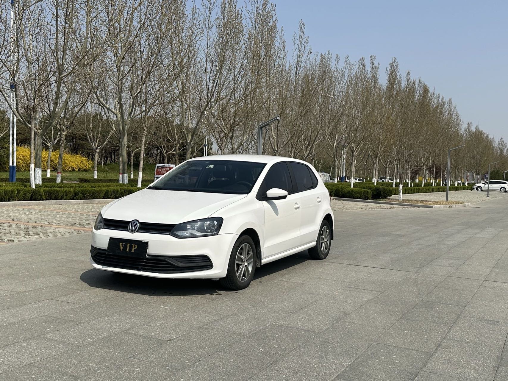 Volkswagen Polo 2016 Volkswagen Polo 2016 car image