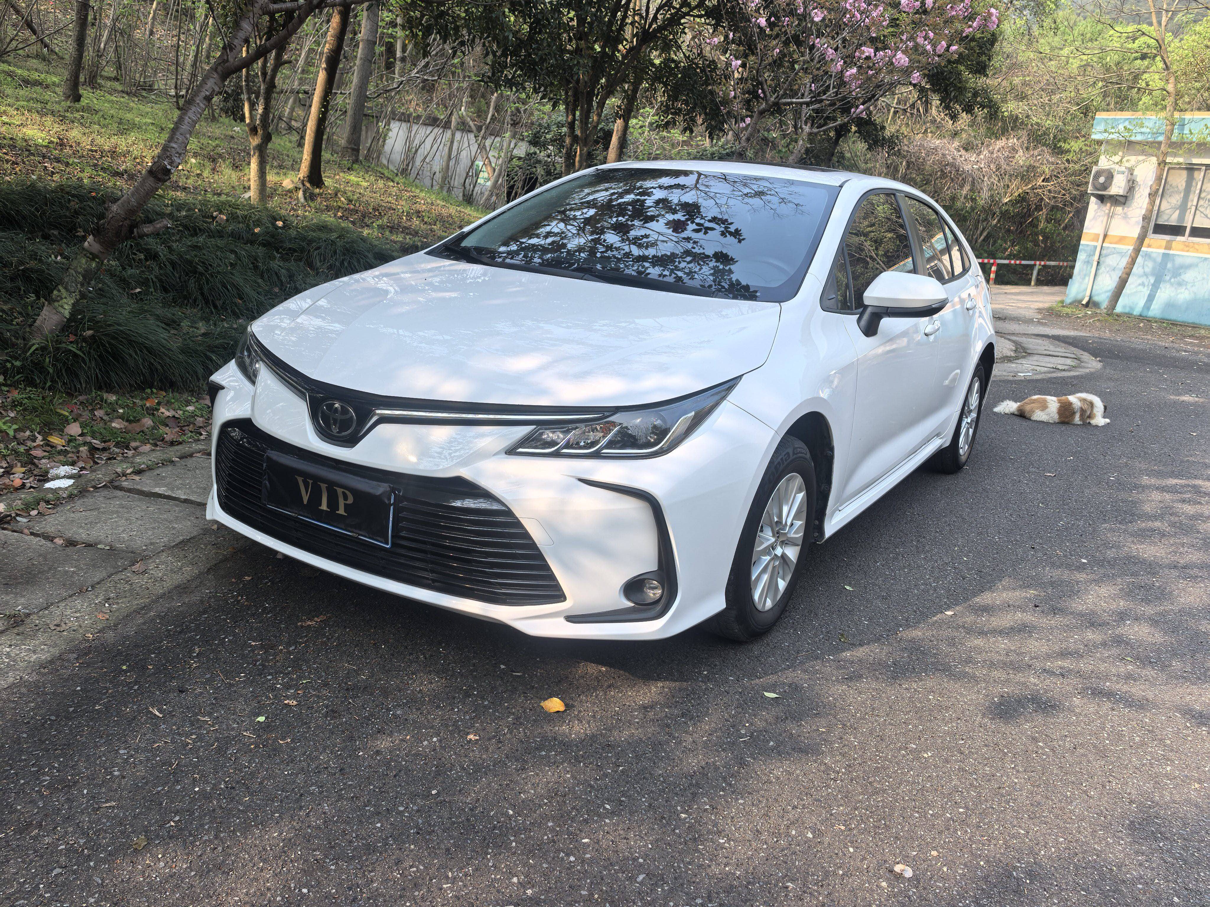 Toyota Corolla 2020 #2 Toyota Corolla 2020 car image #2