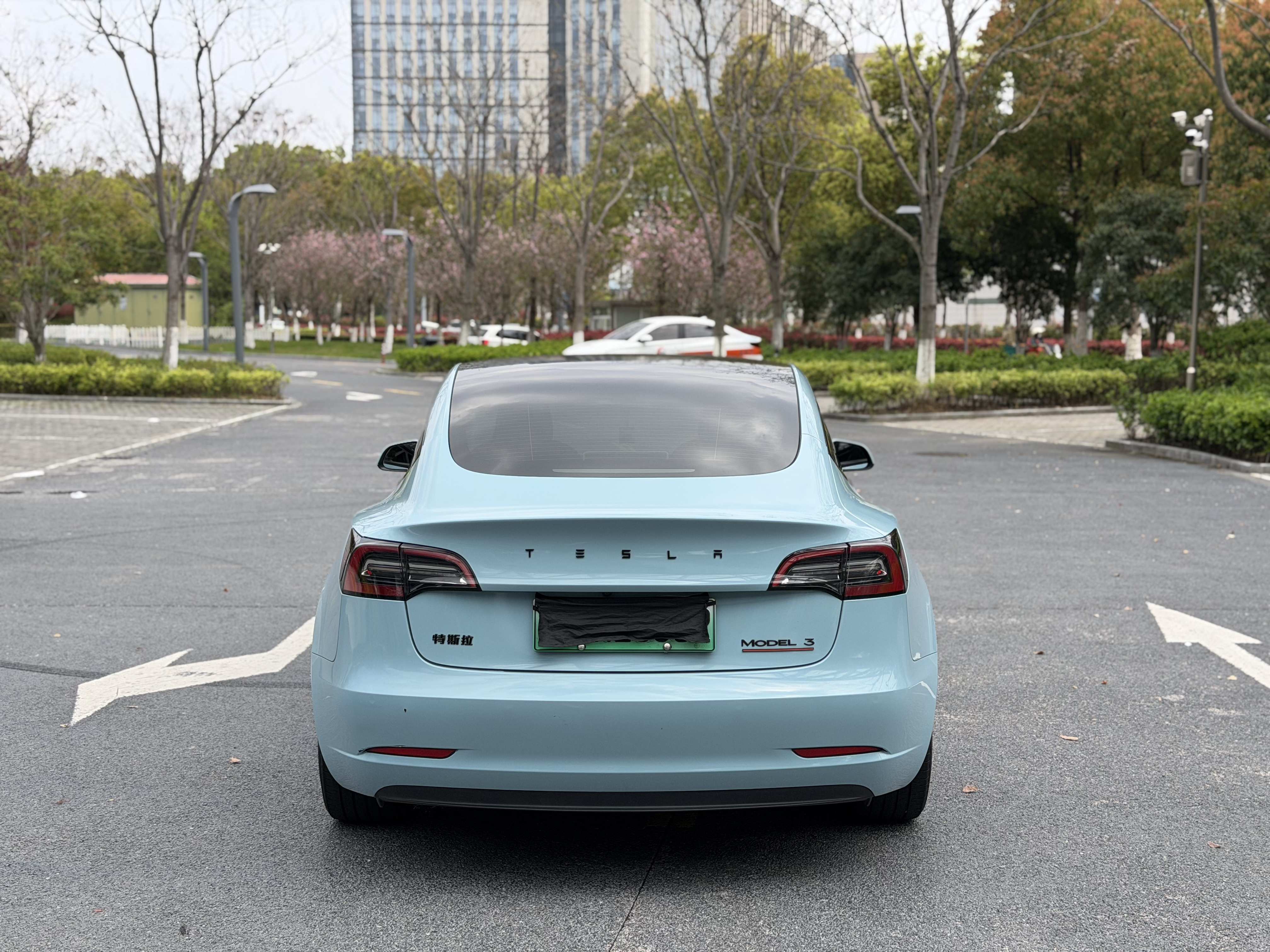 Tesla Model 3 2020 #10 Tesla Model 3 2020 immagine di auto #10