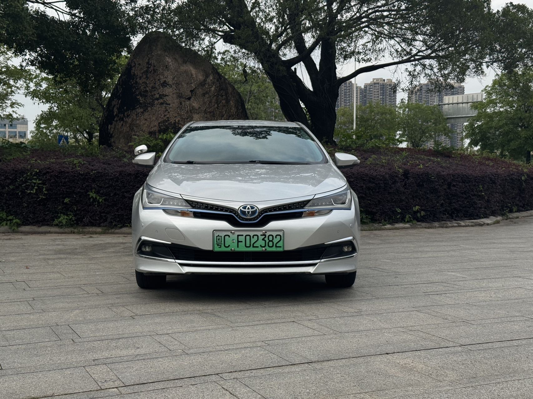 Toyota Corolla Hybird E+ 2019 #4 Toyota Corolla Hybird E+ 2019 immagine di auto #4