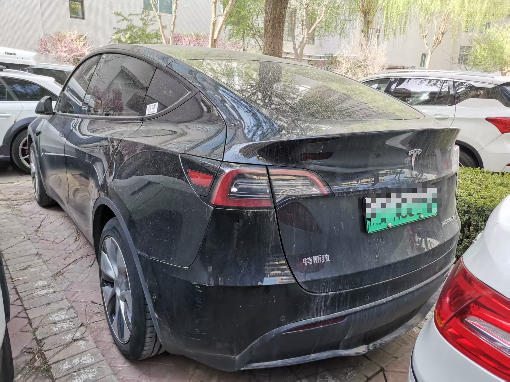 Tesla Model Y 2023 car image #8