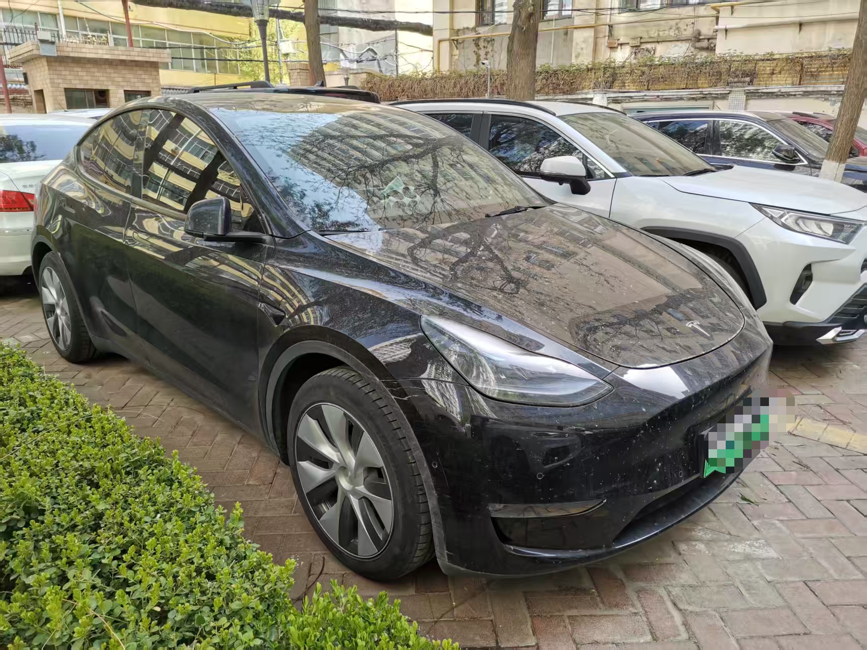 Tesla Model Y 2023 car image #5