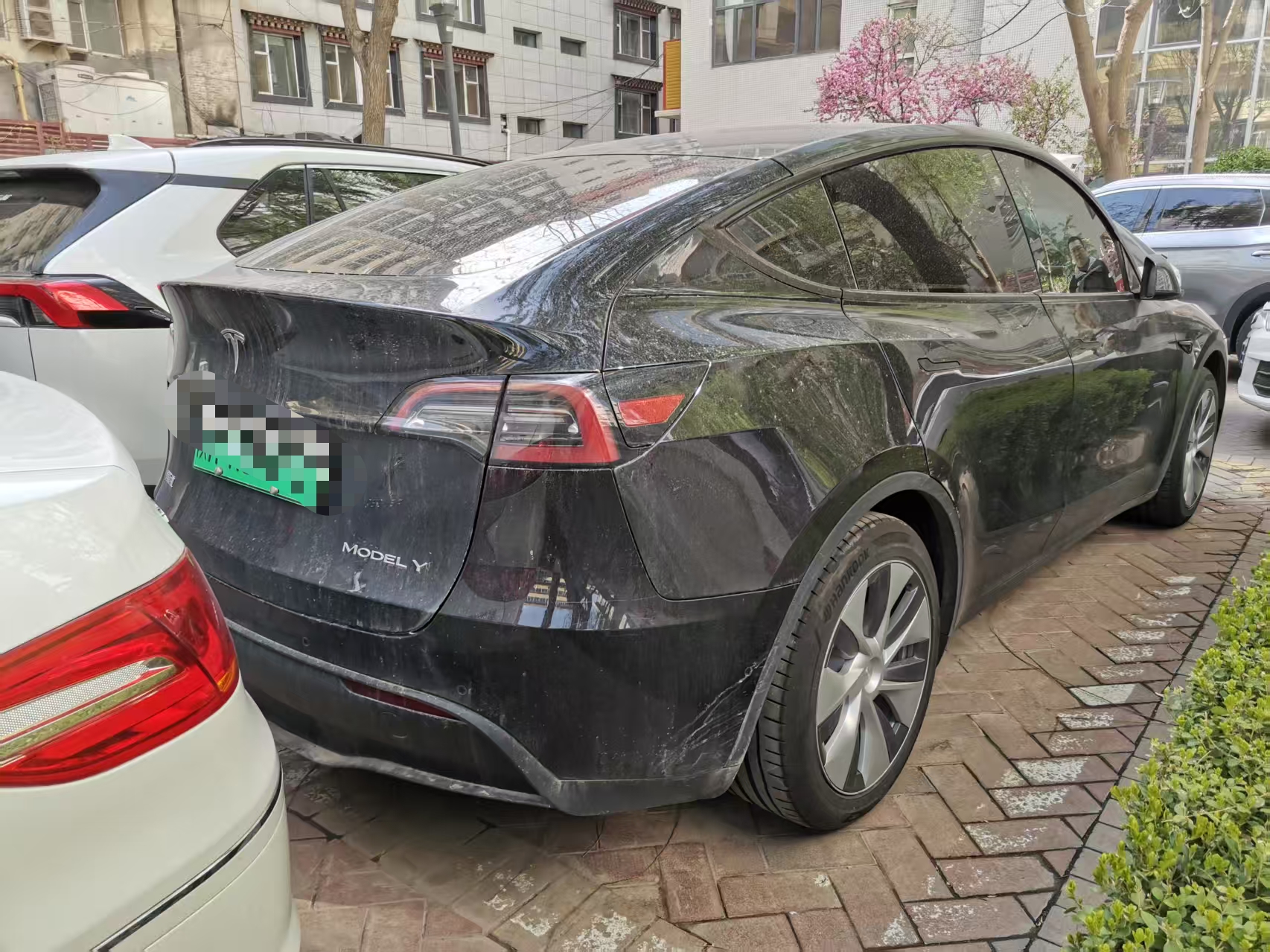 Tesla Model Y 2023 car image #6