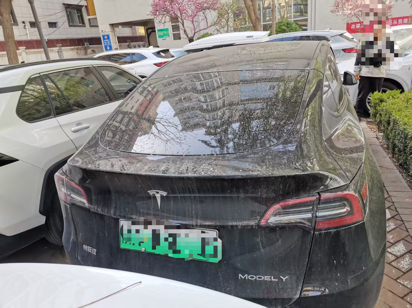 Tesla Model Y 2023 car image #7
