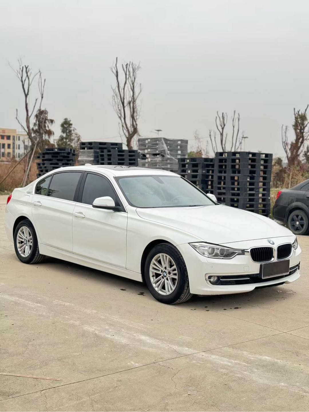 BMW 3 Series 2014 car image #10