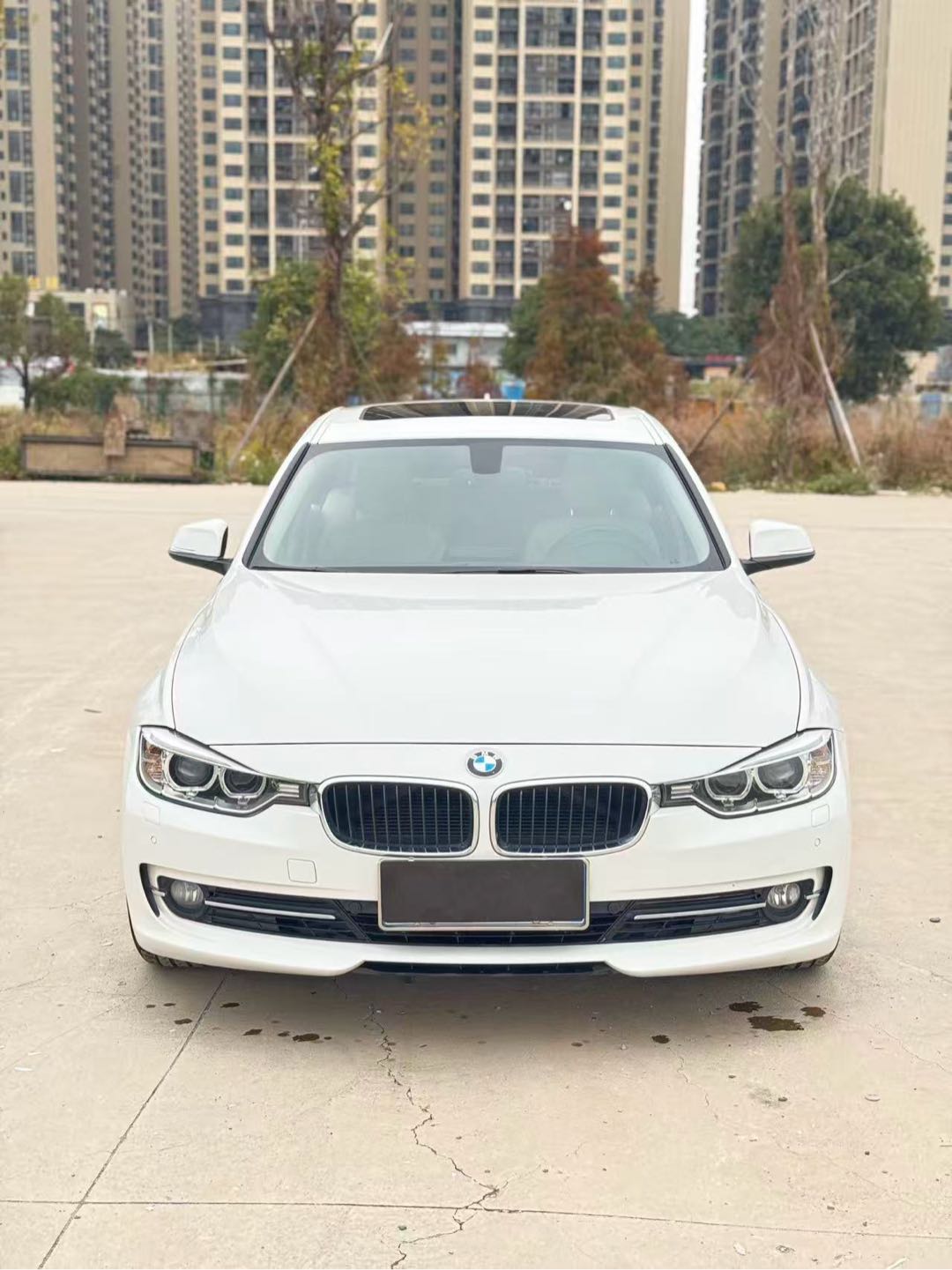 BMW 3 Series 2014 car image #3