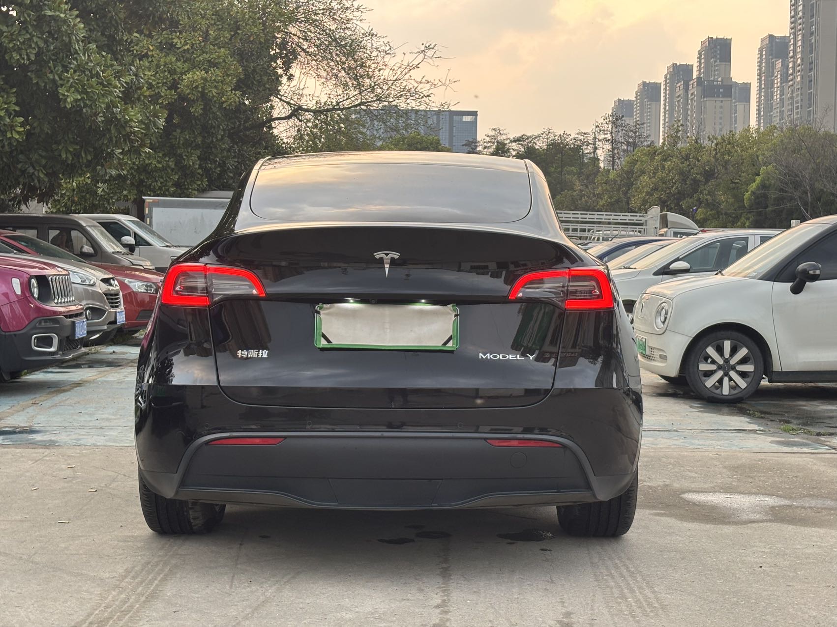Tesla Model Y 2023 car image #7
