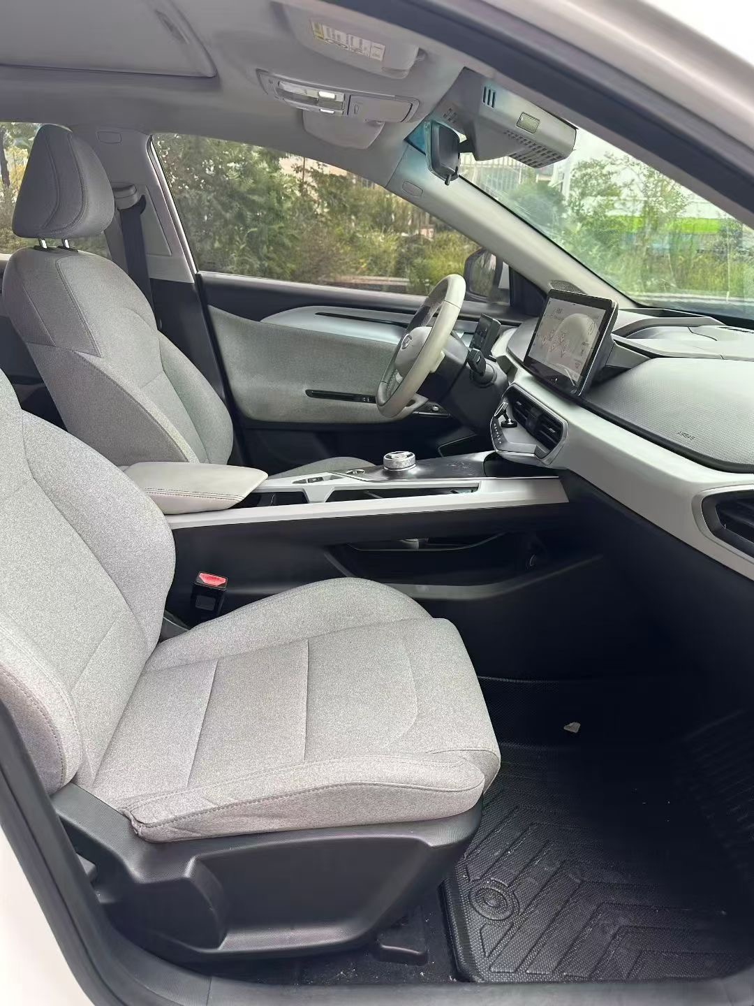 GEELY Emgrand New Energy 2020 car image #6