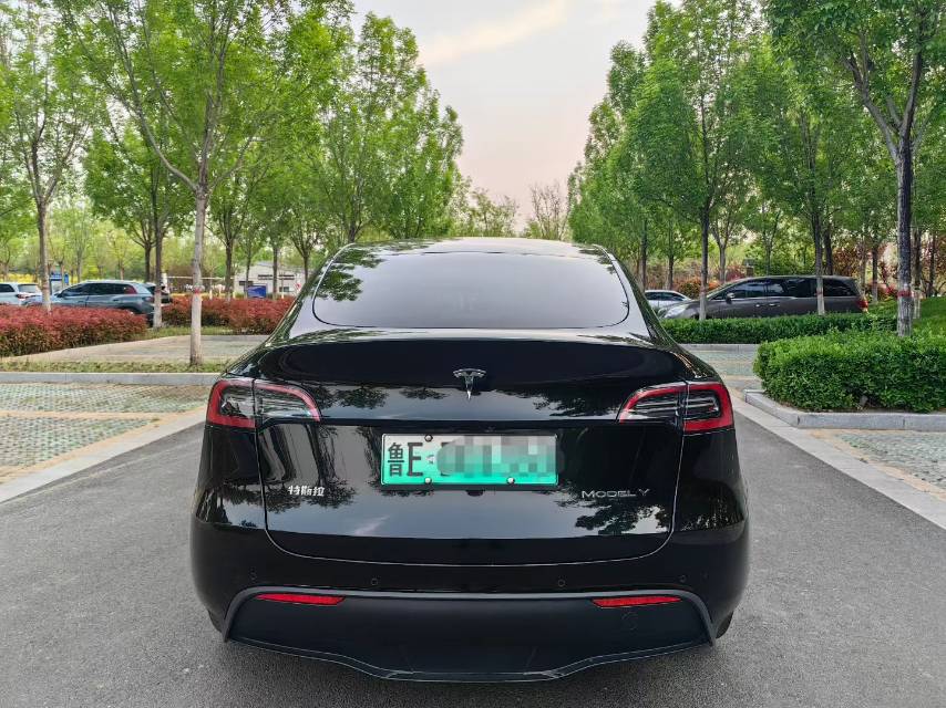 Tesla Model Y 2022 #10 Tesla Model Y 2022 car image #10