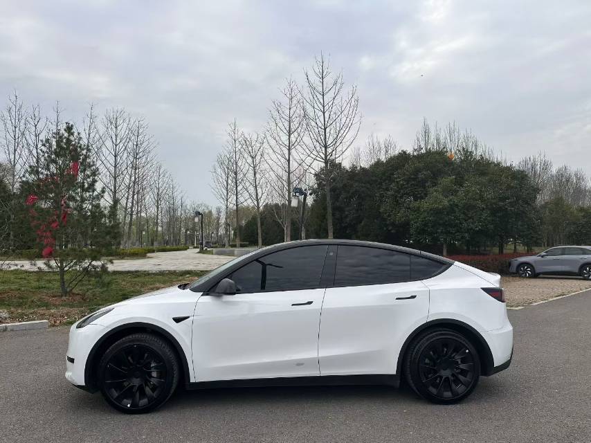 Tesla Model Y 2023 car image #6