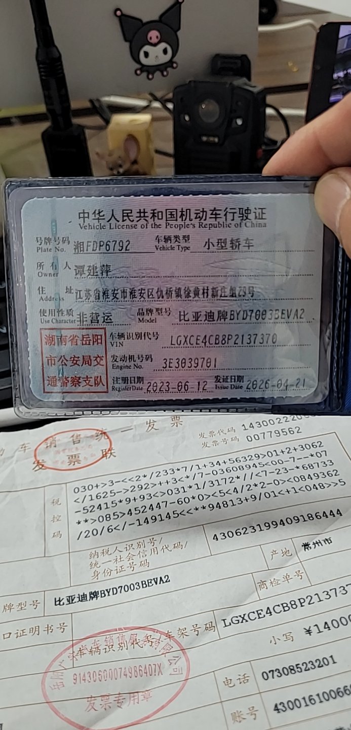 BYD Yuan Plus 2023 car image #3