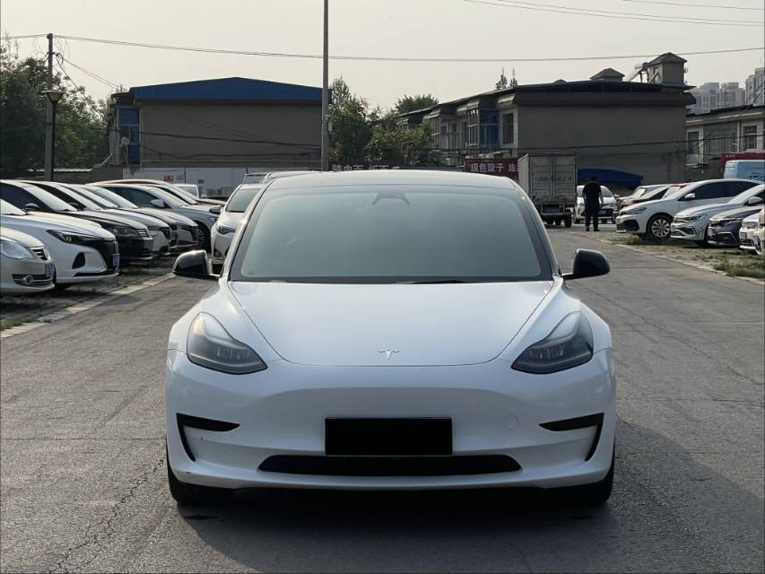 Tesla Model 3 2021 #4 Tesla Model 3 2021 car image #4