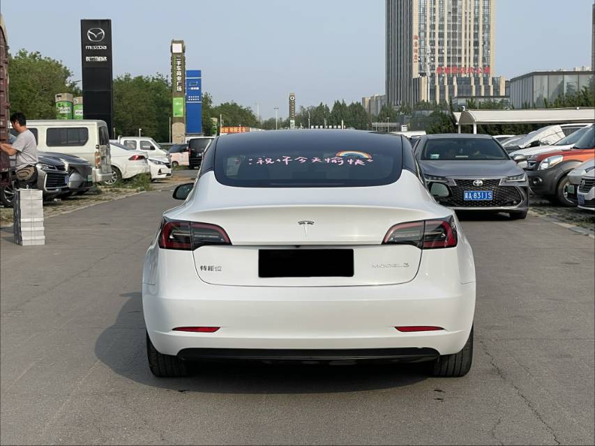 Tesla Model 3 2021 #5 Tesla Model 3 2021 car image #5