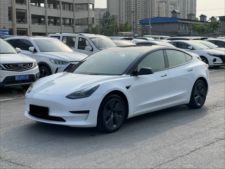 Tesla Model 3 2021 #2 Tesla Model 3 2021 car image #2