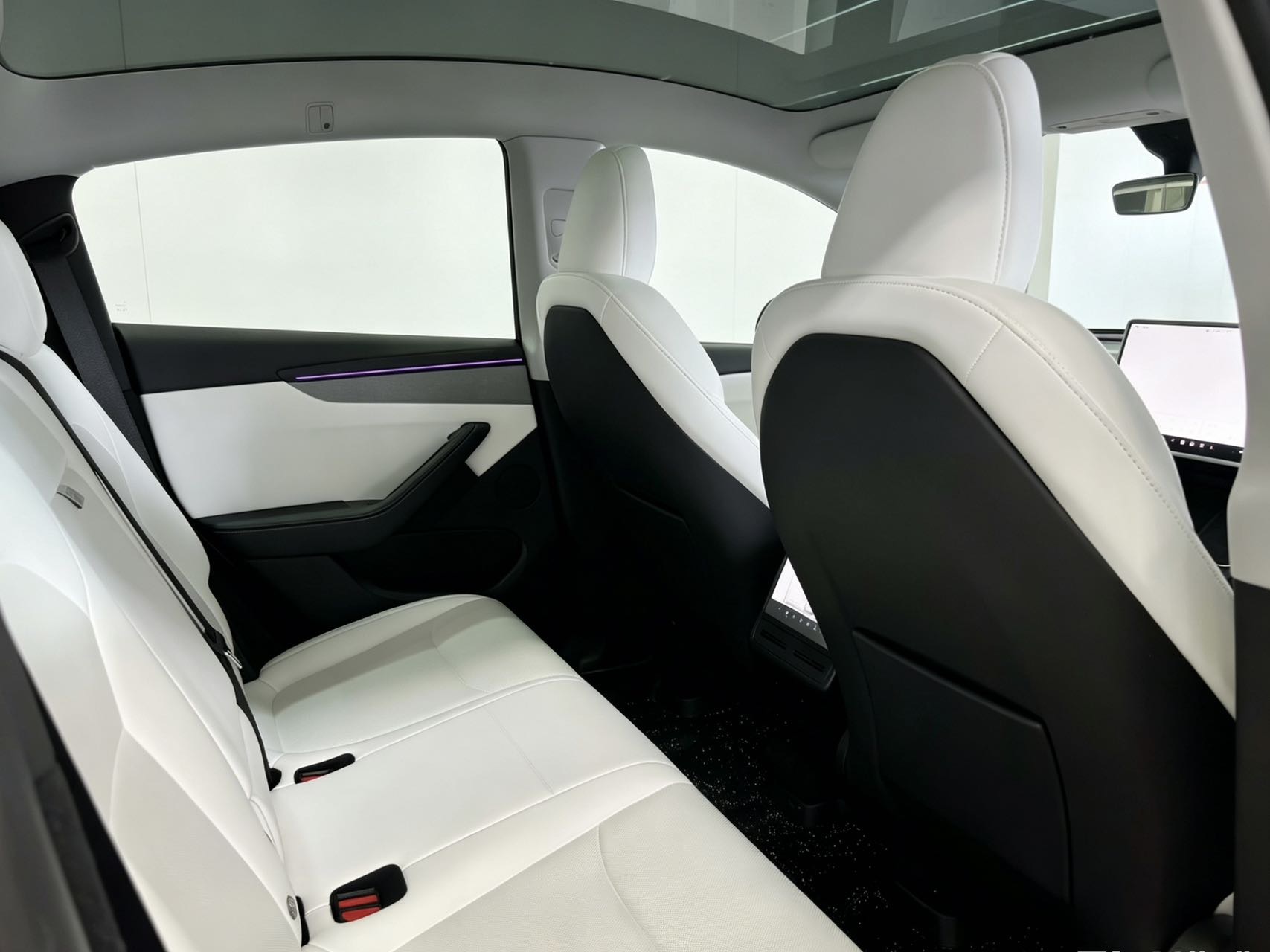 Tesla Model Y 2025 car image #11