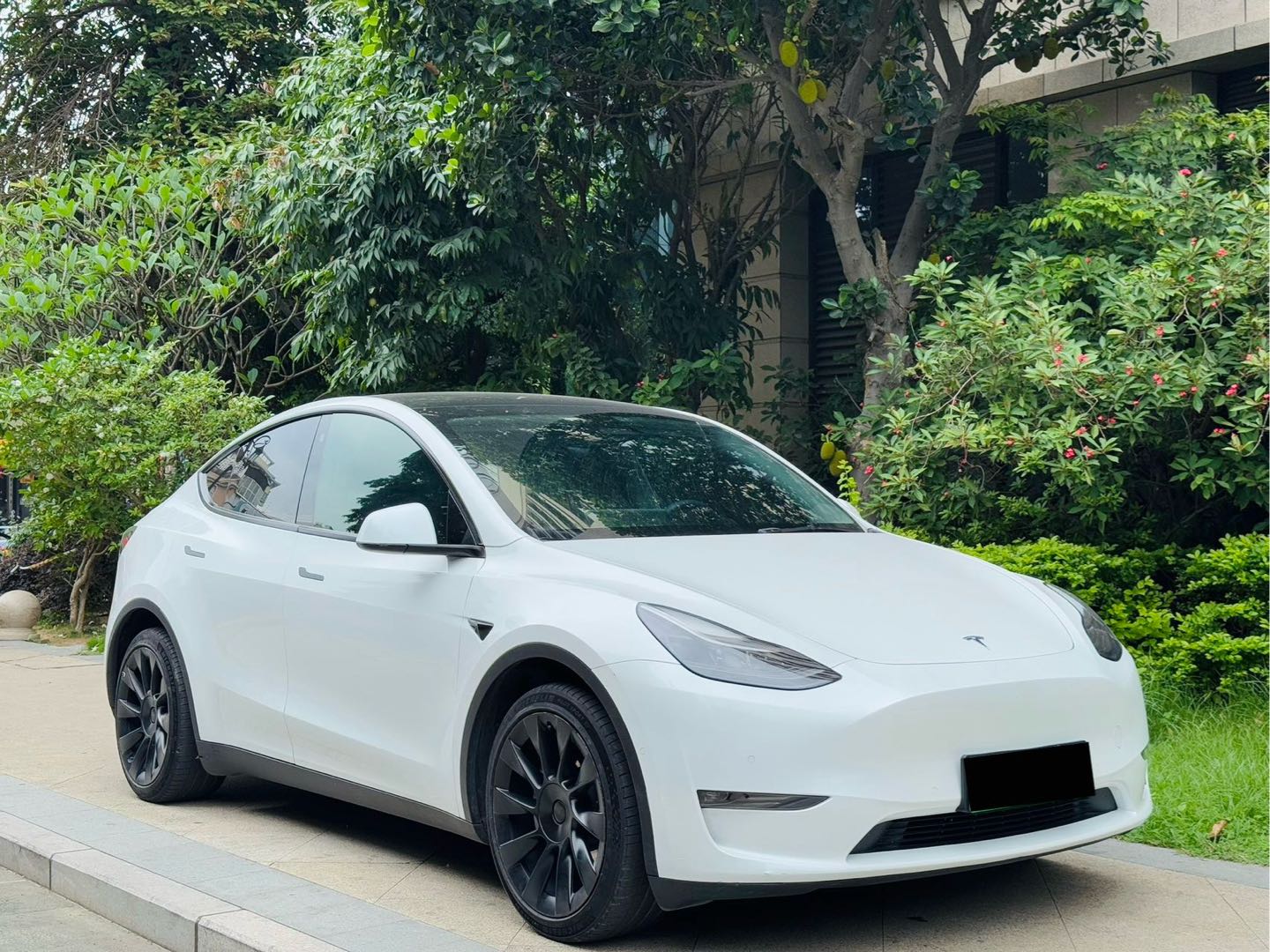 Tesla Model Y 2022 #5 Tesla Model Y 2022 car image #5