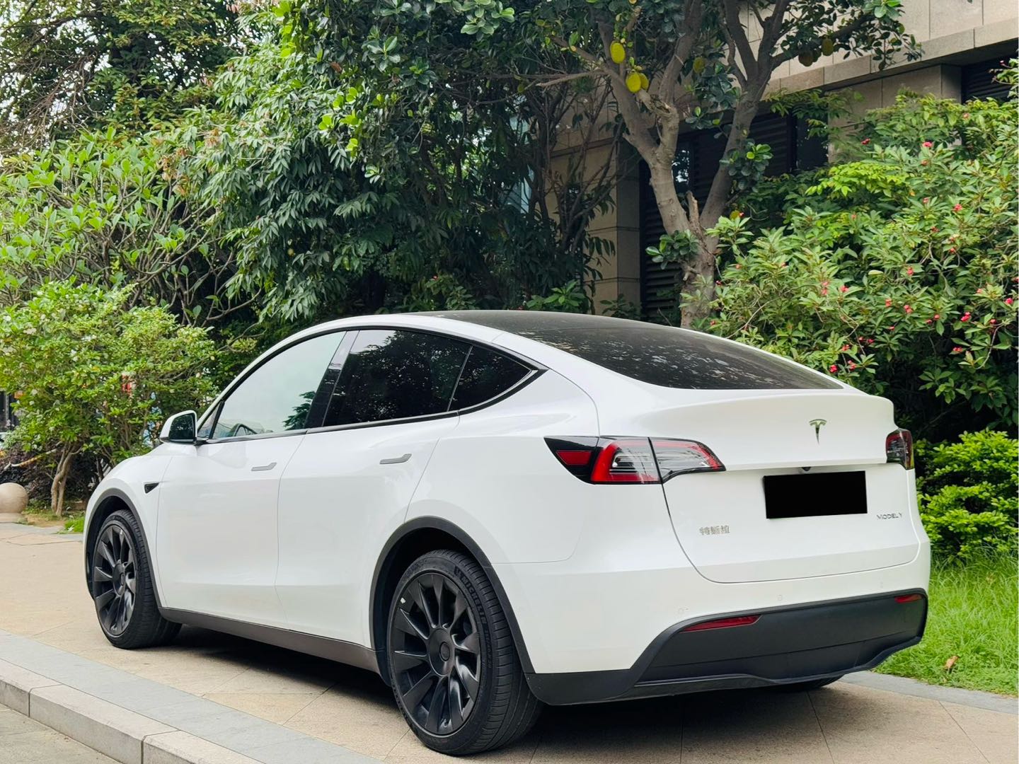 Tesla Model Y 2022 #8 Tesla Model Y 2022 car image #8