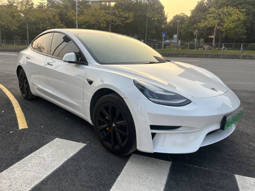 Tesla Model 3 (Imported) 2020 car image #5