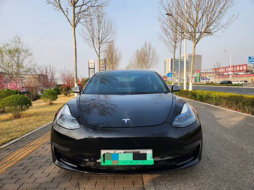 Tesla Model 3 2021 #4 Tesla Model 3 2021 car image #4