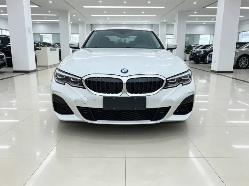 BMW 3 Series 2020 #4 BMW 3 Series 2020 car image #4