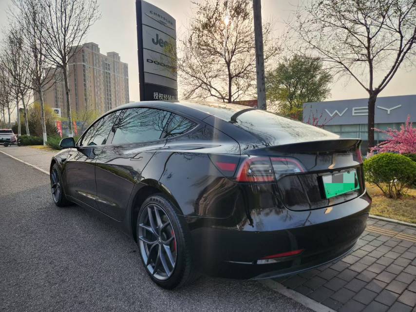 Tesla Model 3 2021 #7 Tesla Model 3 2021 car image #7