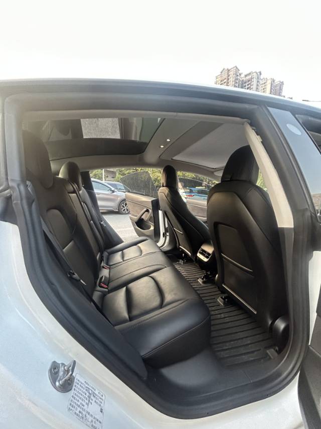 Tesla Model 3 (Imported) 2020 car image #11