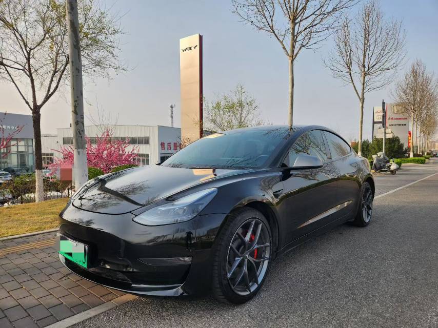 Tesla Model 3 2021 #2 Tesla Model 3 2021 car image #2
