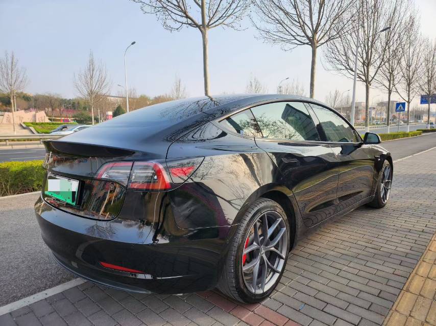 Tesla Model 3 2021 #6 Tesla Model 3 2021 car image #6